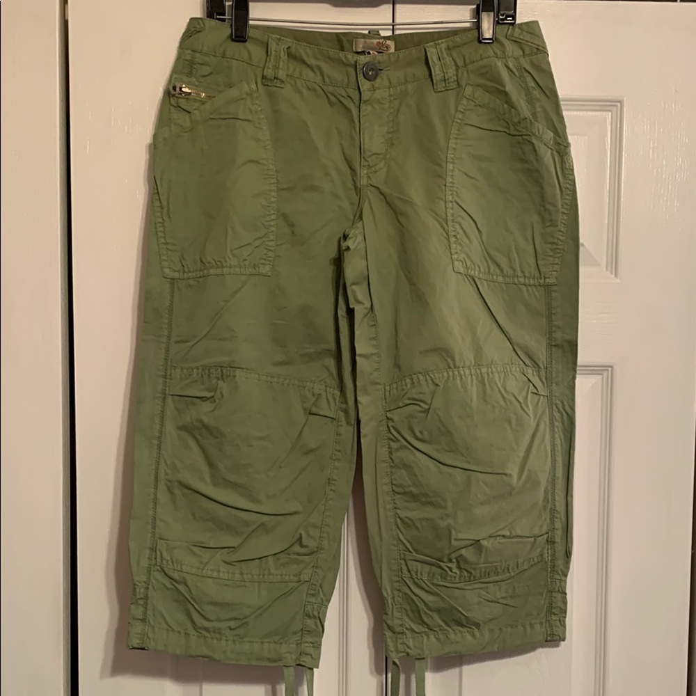 Joie Green Casual Capris with Relaxed Fit